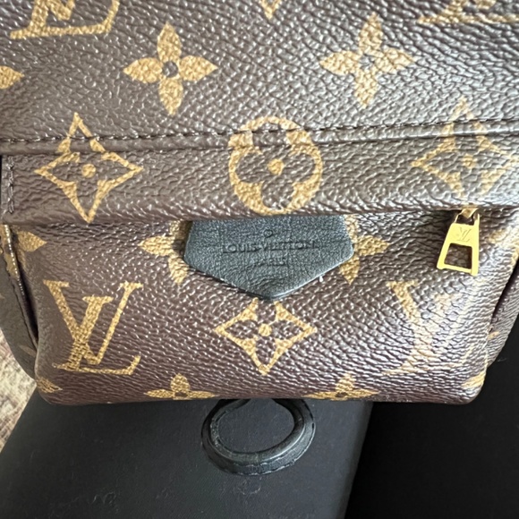 Louis Vuitton Palm Springs Mini Backpack - Picture 4 of 5